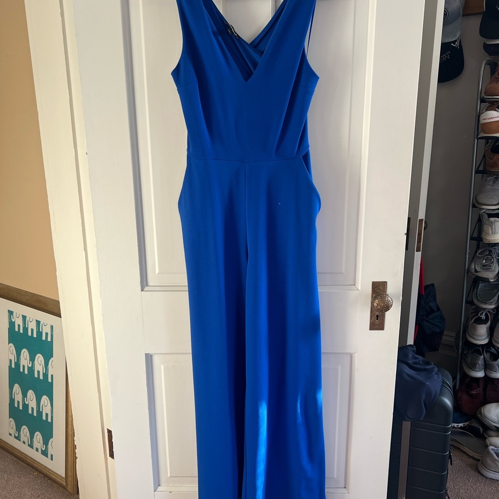 Express Royal Blue Women's Jumpsuit